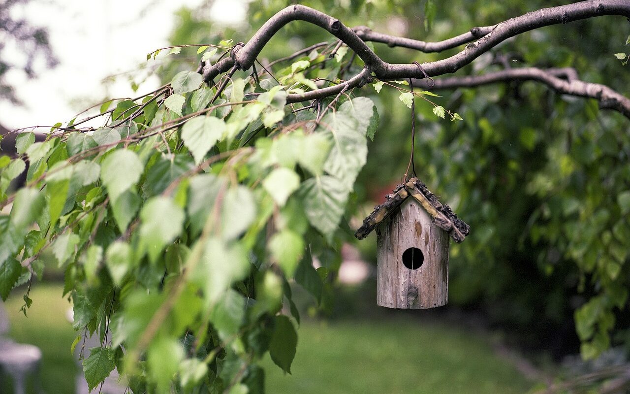 Tuinonderhoud Nunspeet
