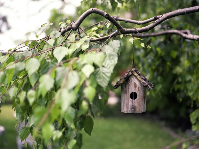 Tuinonderhoud Nunspeet